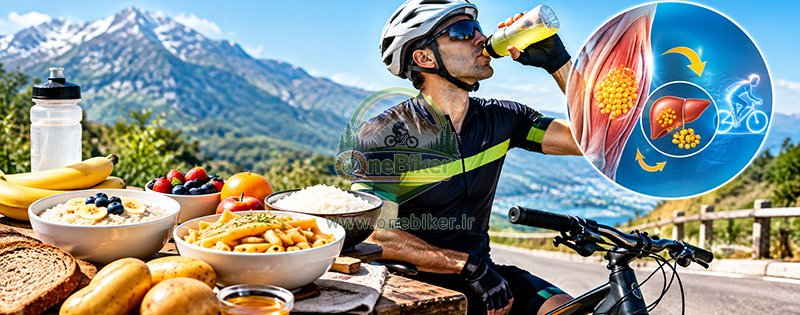 قبل از رکاب‌زنی سنگین چه بخوریم؟ راز پر کردن باک انرژی عضلات با بارگیری کربوهیدرات