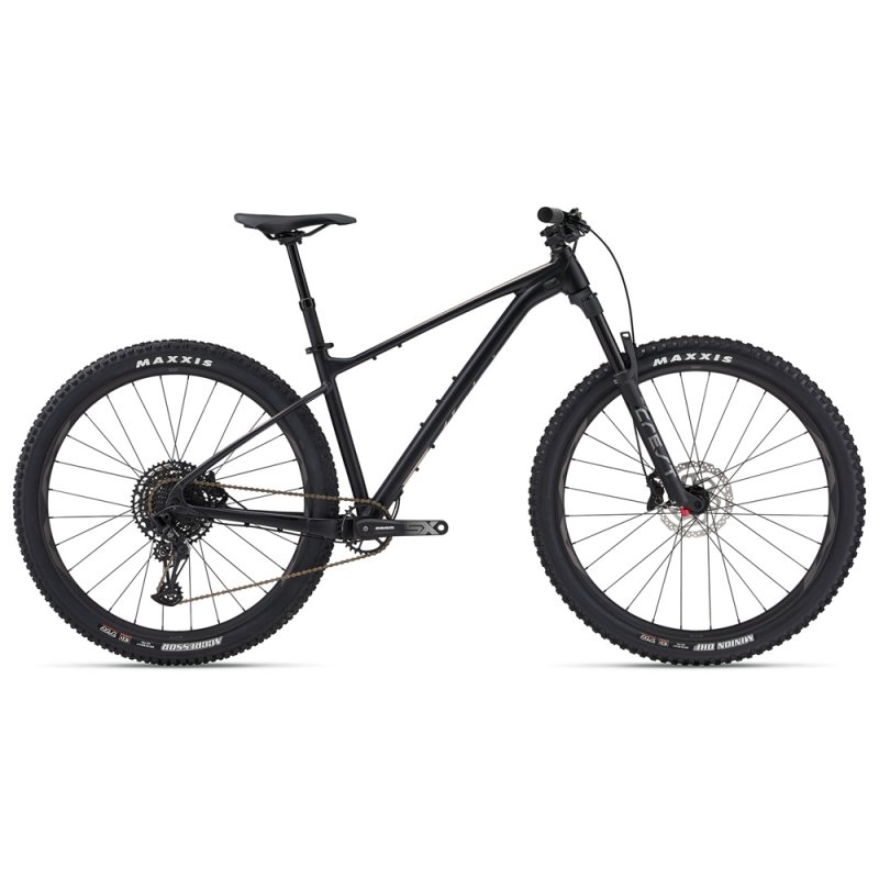 دوچرخه کوهستان جاینت مدل Fathom 29 1