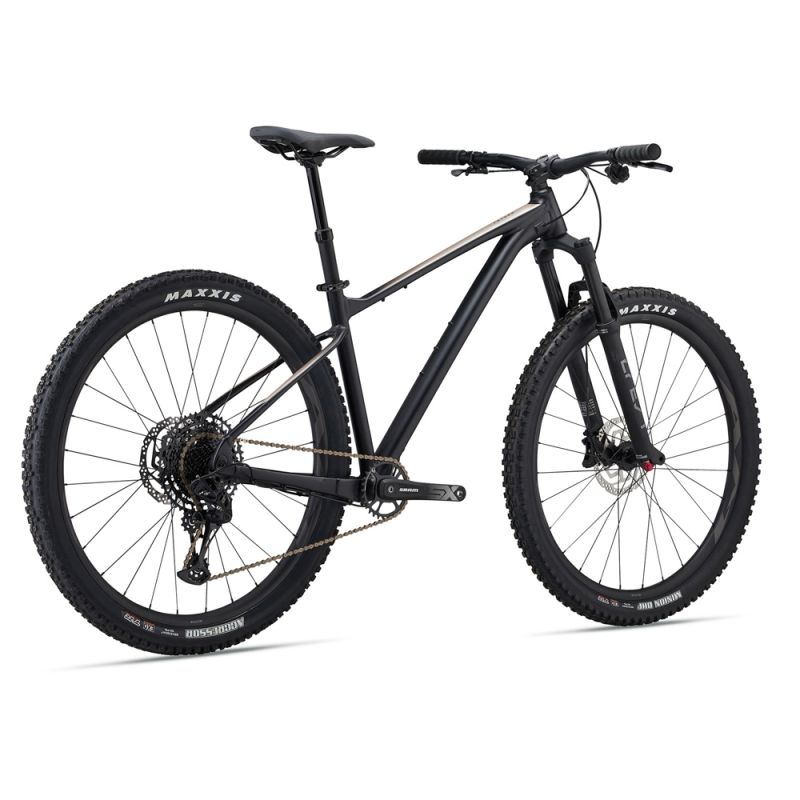 دوچرخه کوهستان جاینت مدل Fathom 29 1