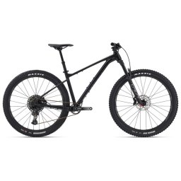 دوچرخه کوهستان جاینت مدل Fathom 29 1
