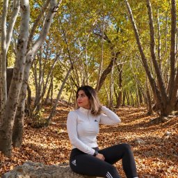 bahareh